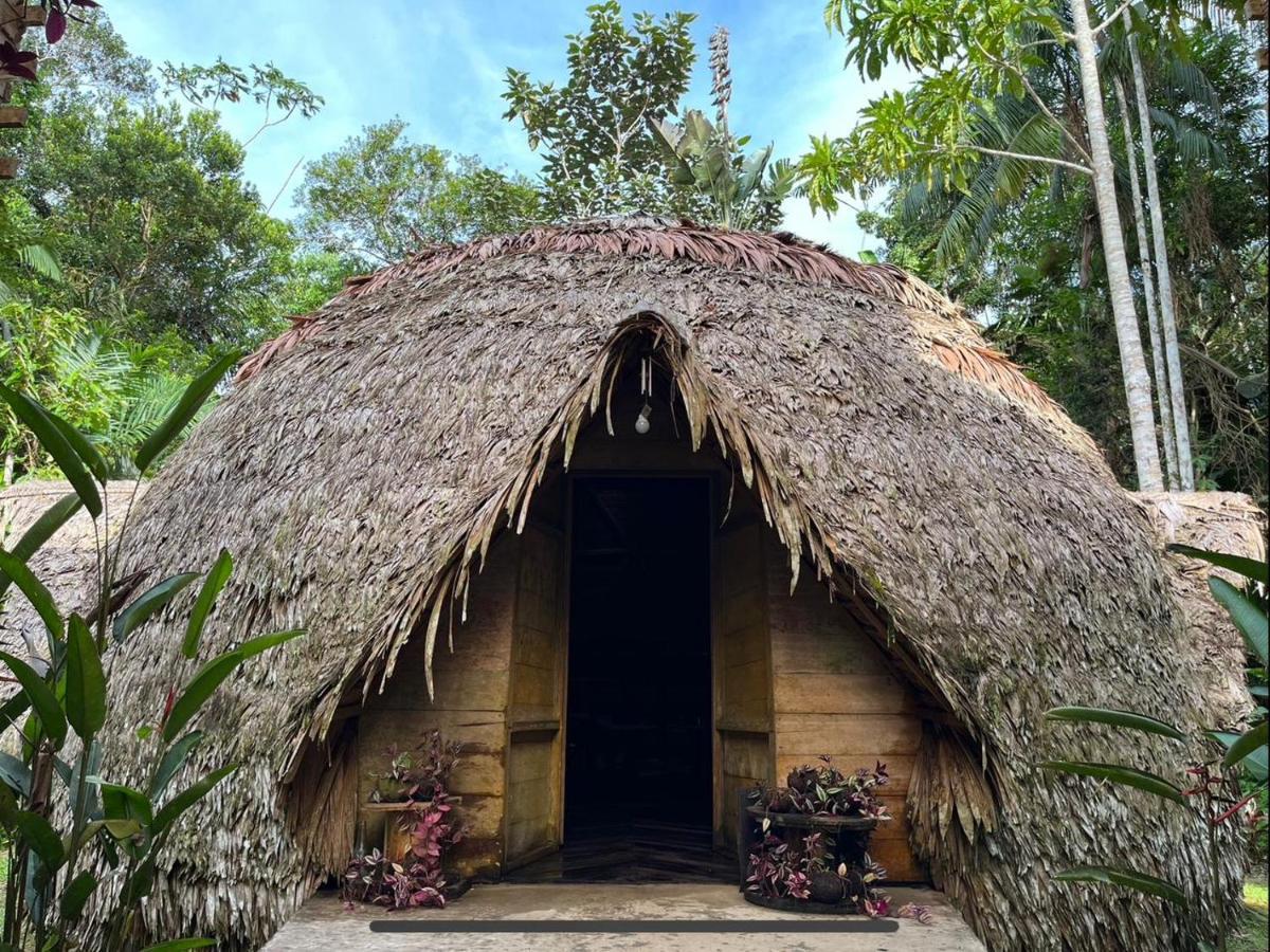 Palmayacu - Refugio Amazonico Leticia Buitenkant foto