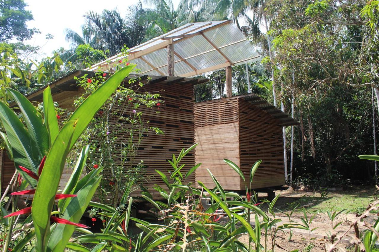 Palmayacu - Refugio Amazonico Leticia Buitenkant foto